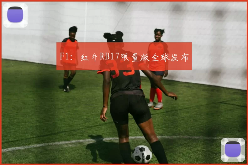 F1：红牛RB17限量版全球发布