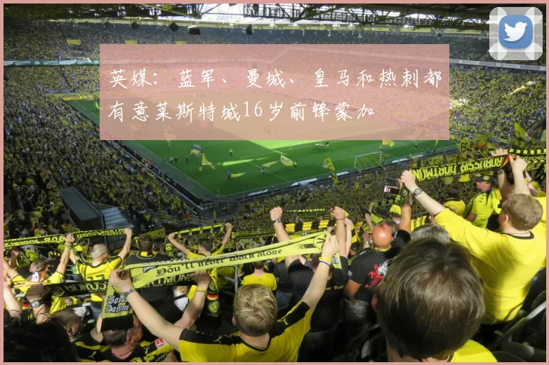 英媒：蓝军、曼城、皇马和热刺都有意莱斯特城16岁前锋蒙加