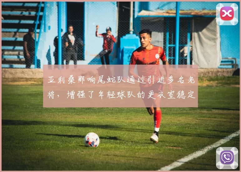 亚利桑那响尾蛇队通过引进多名老将，增强了年轻球队的更衣室稳定性