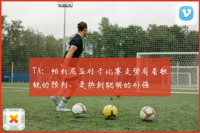TA：帕利尼亚对于比赛走势有着敏锐的预判，是热刺聪明的补强