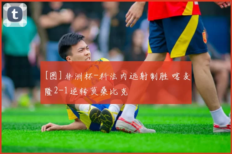 [图]非洲杯-科法内远射制胜 喀麦隆2-1逆转莫桑比克