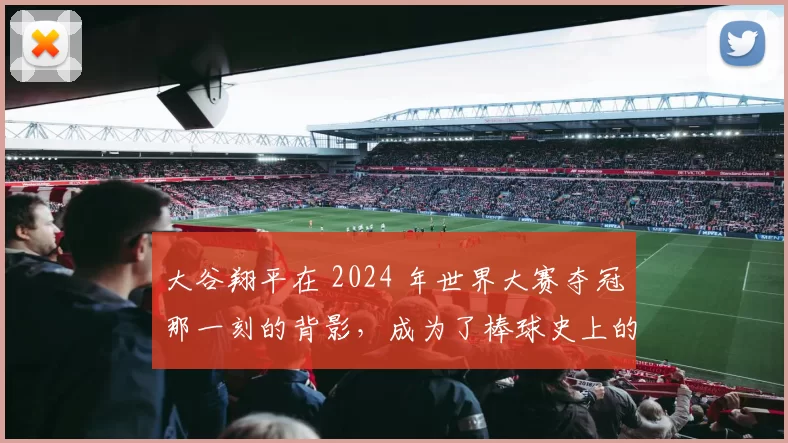 大谷翔平在 2024 年世界大赛夺冠那一刻的背影，成为了棒球史上的永恒图腾