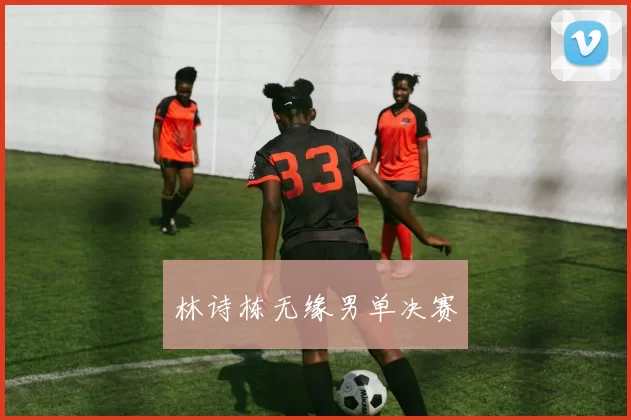 林诗栋无缘男单决赛