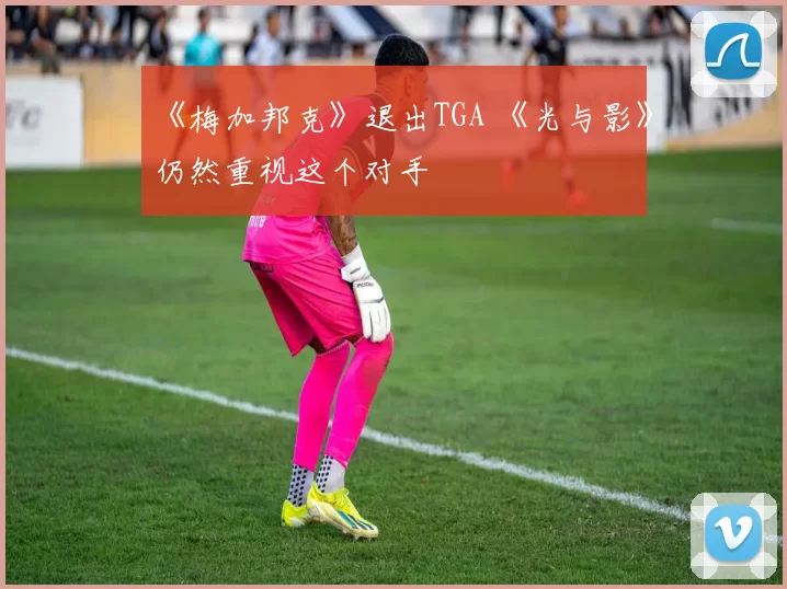 《梅加邦克》退出TGA 《光与影》仍然重视这个对手