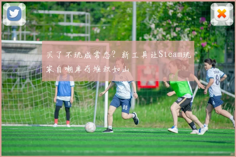 买了不玩成常态？新工具让Steam玩家自嘲库存堆积如山
