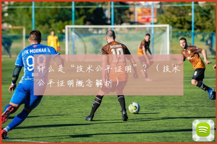 什么是“技术公平证明”？（技术公平证明概念解析）