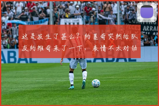 这是发生了甚么？约基奇突然给队友约维奇来了一下，表情不太对劲